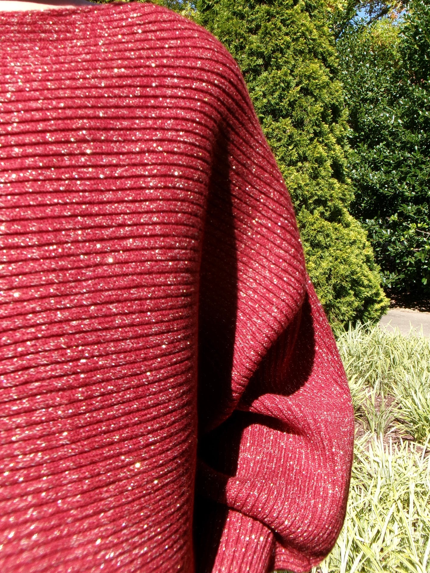 Holly Berry Batwing Sweater