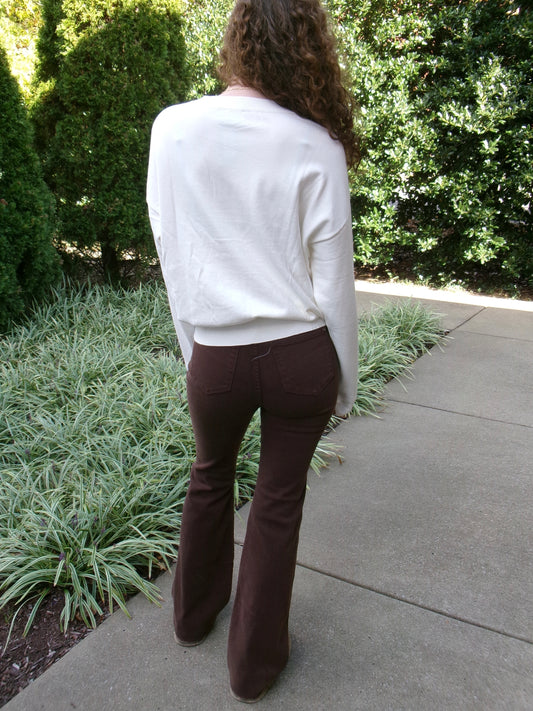 Golden Doodle Dog Sweater