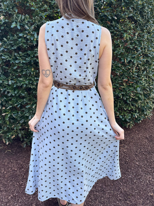 Blueberry Milk Polka Dress