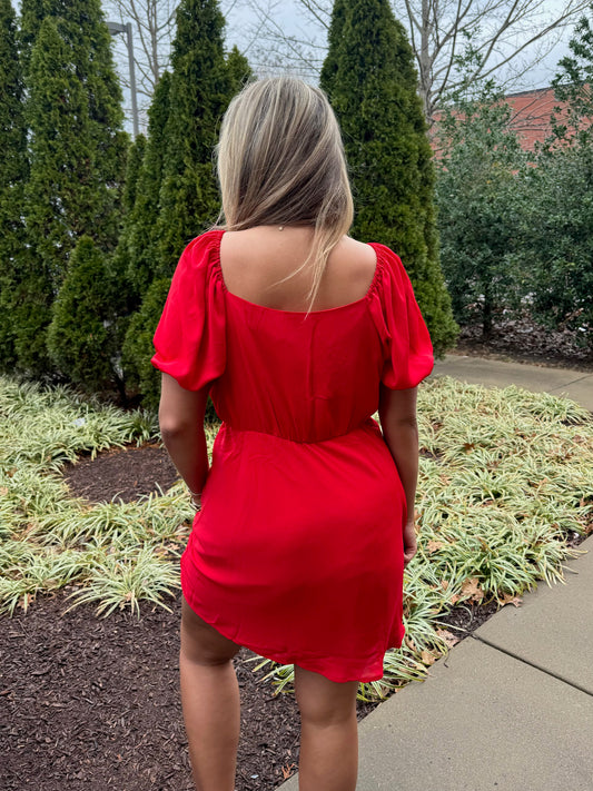 Blooming Rose Mini Dress