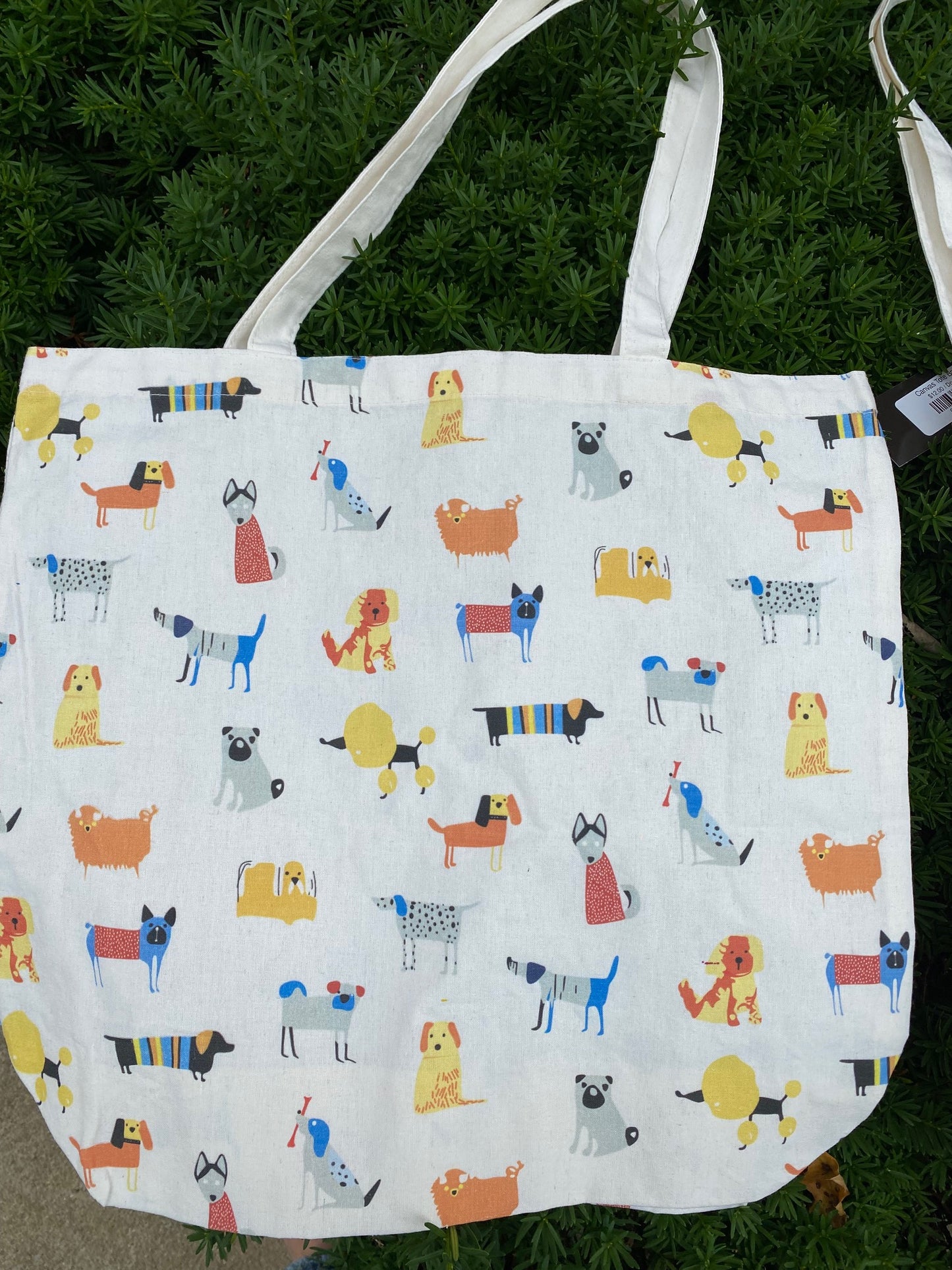 Canvas Tote Bag