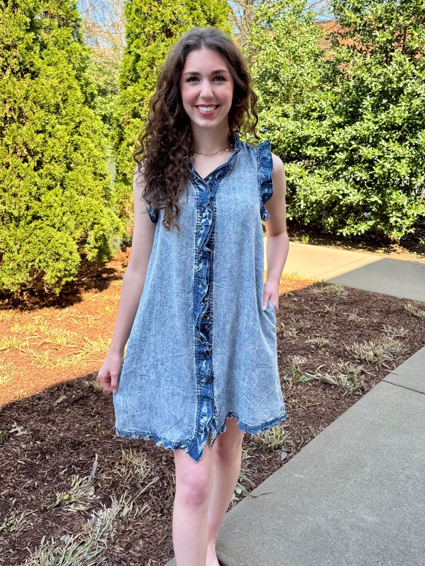 Sharon Ruffle Denim Dress