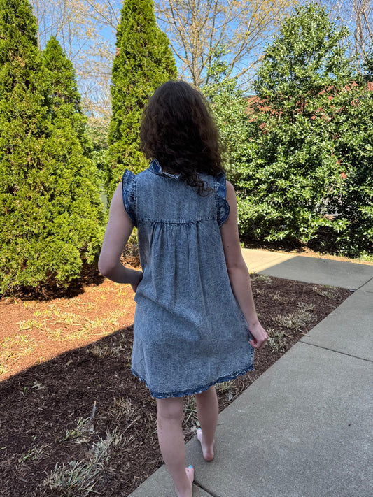 Sharon Ruffle Denim Dress
