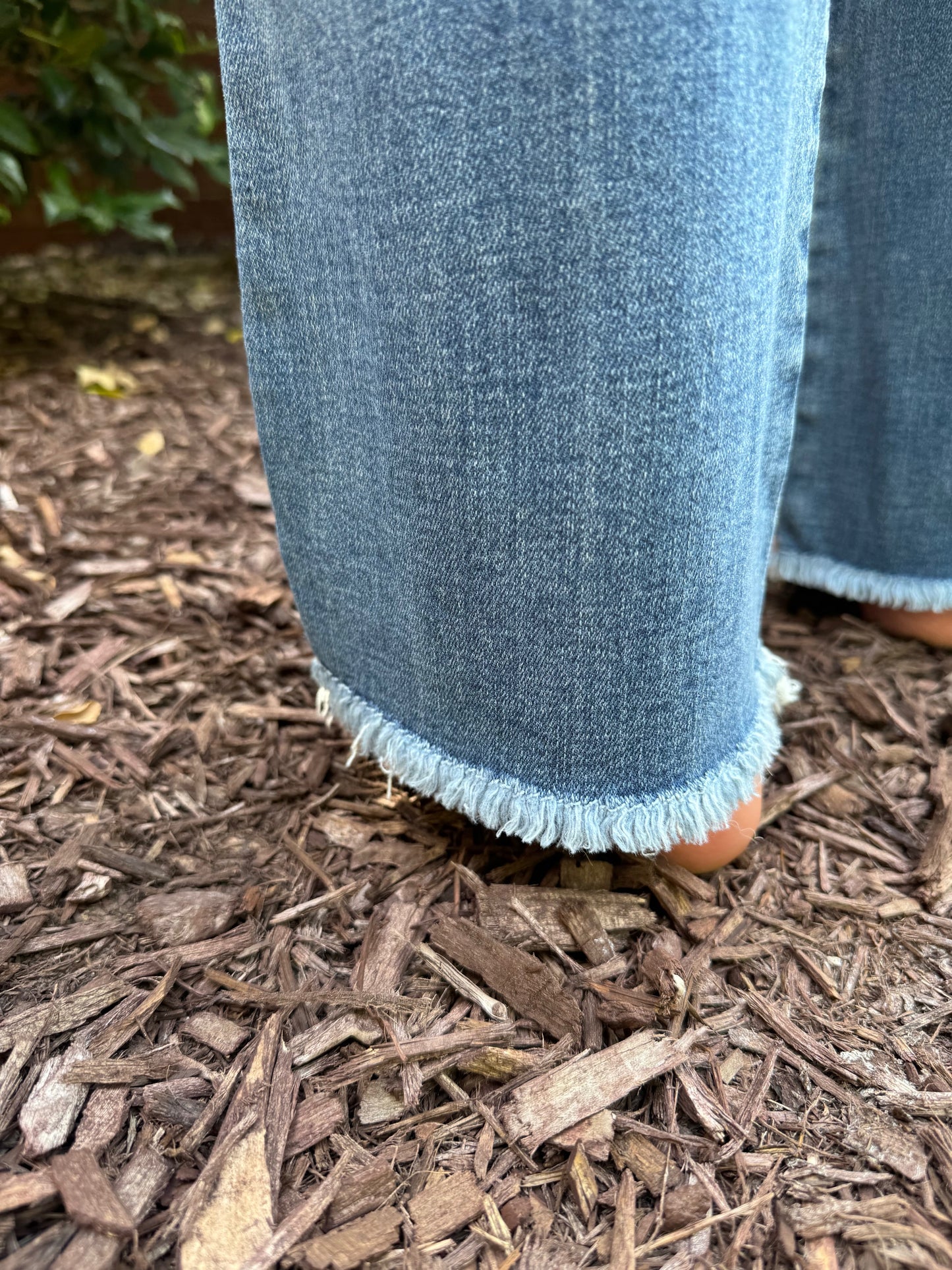JB Fray Distress Bootcut