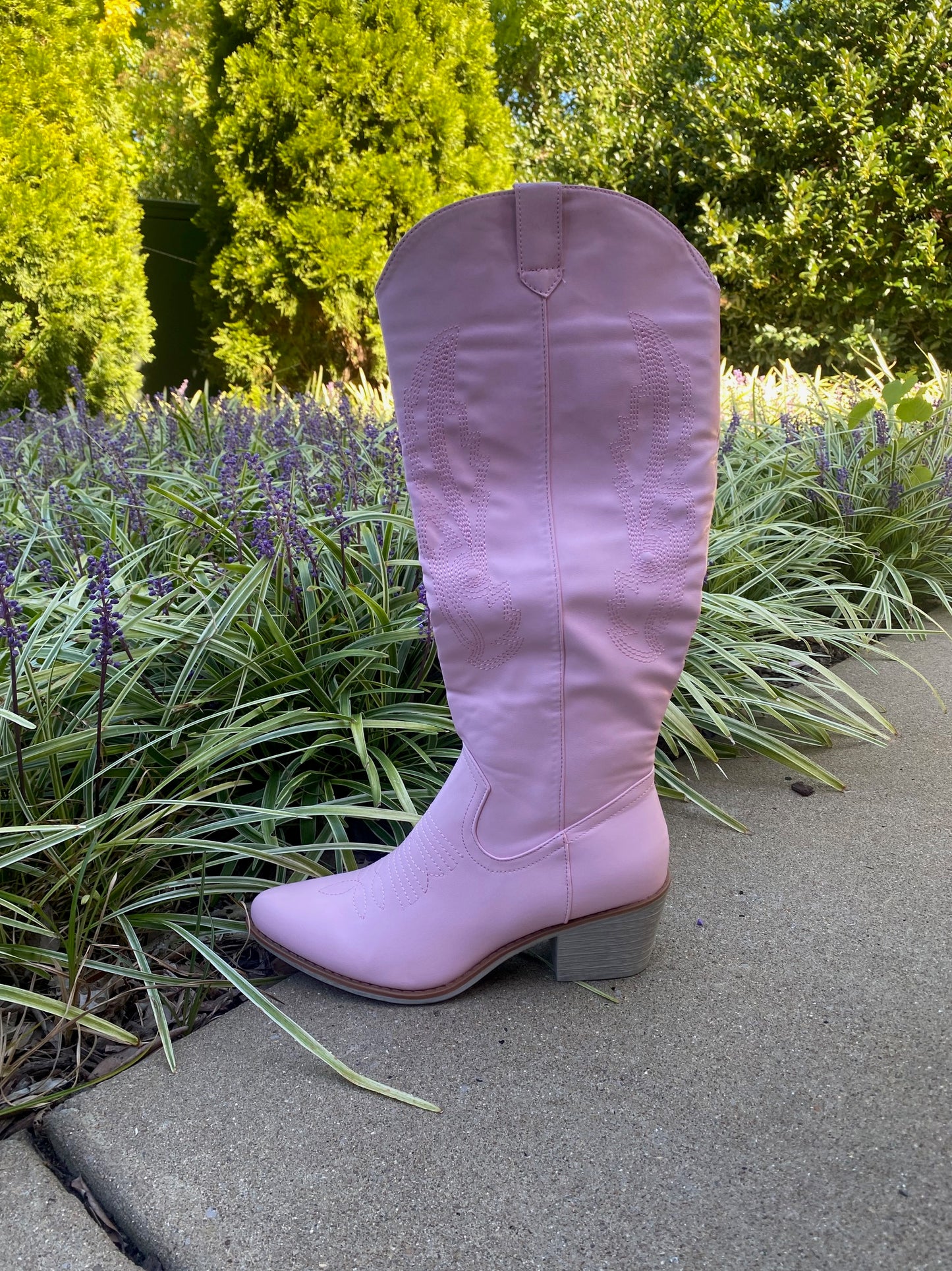 Pink Cowboy