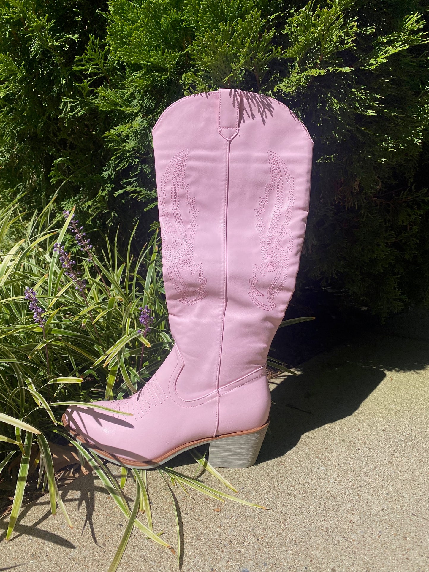 Pink Cowboy