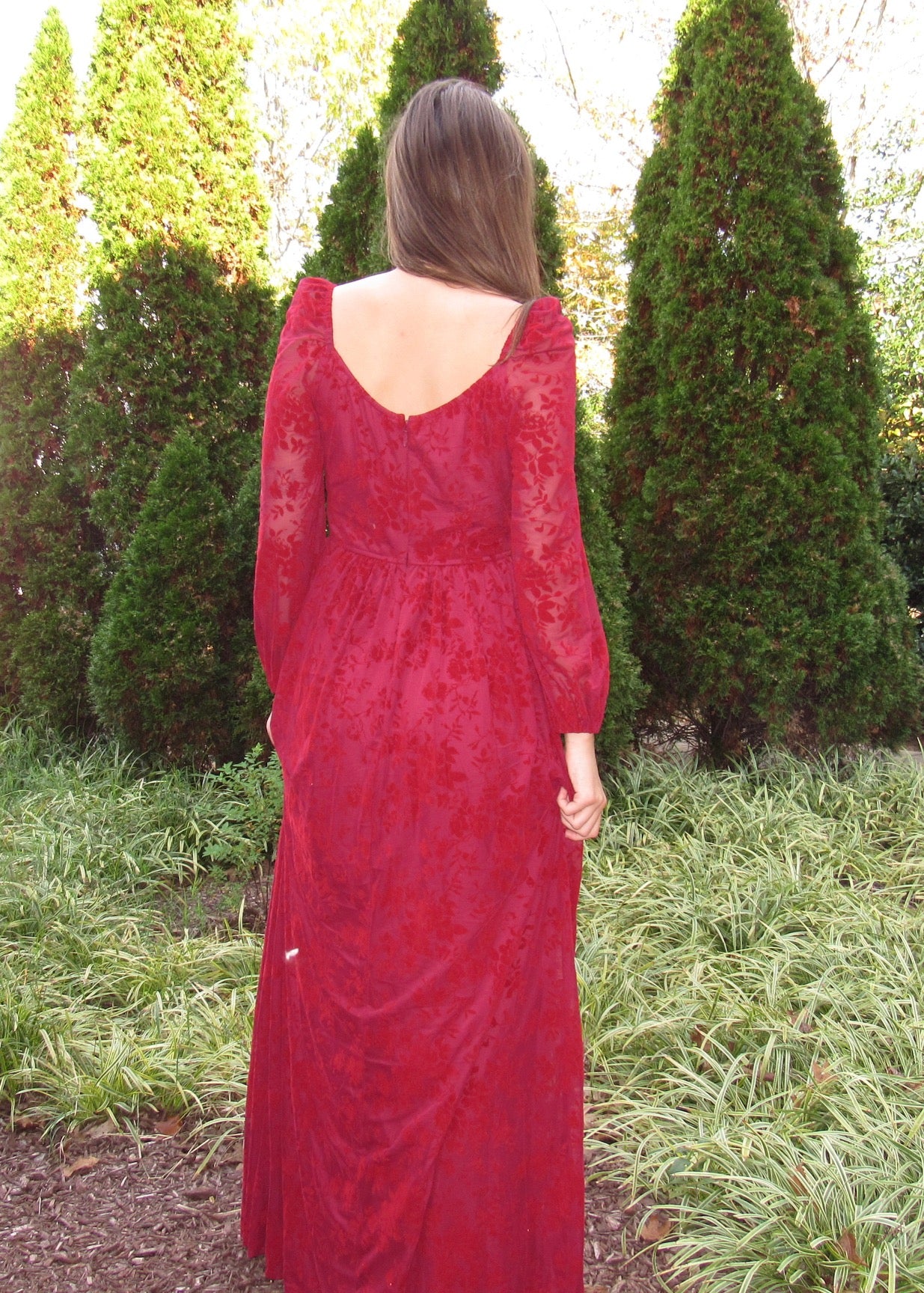 Ruby Burnt Velvet Formal