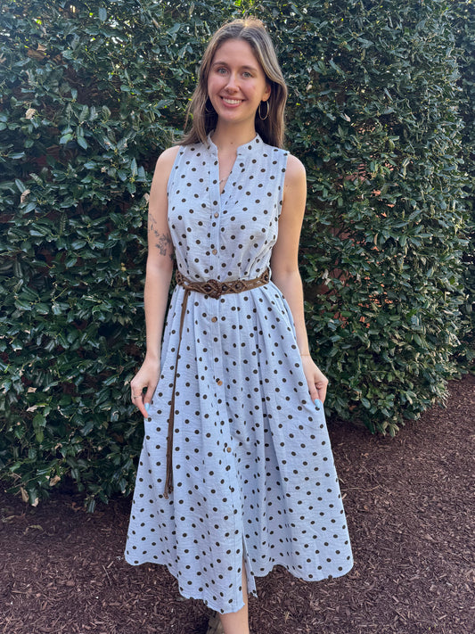 Blueberry Milk Polka Dress