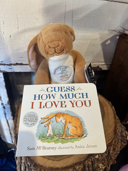 How Much I Love You Book