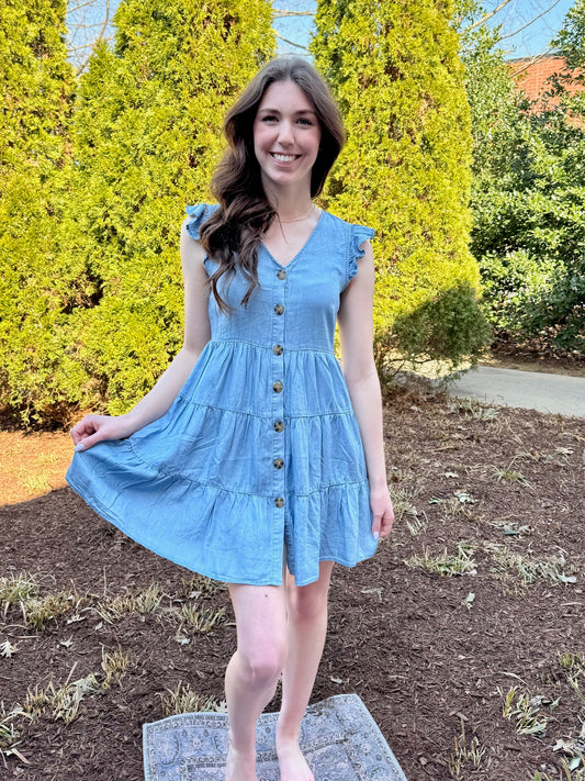 Piper Denim Button-up Dress