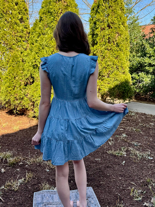 Piper Denim Button-up Dress